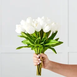 Tulip Bunch