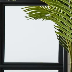 Venus Mirror