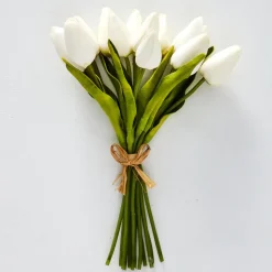 White Tulip Bunch