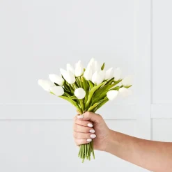 White Tulip Bunch